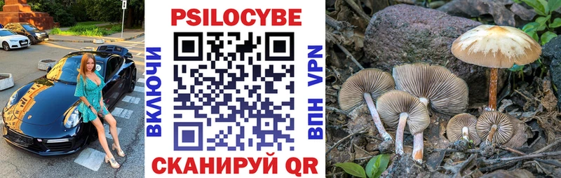 Галлюциногенные грибы GOLDEN TEACHER Голицыно