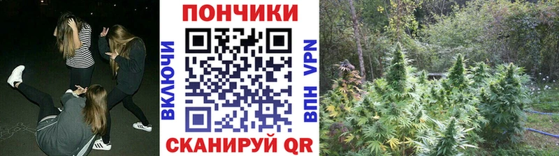 omg tor  darknet состав  Бошки марихуана марихуана  Голицыно 